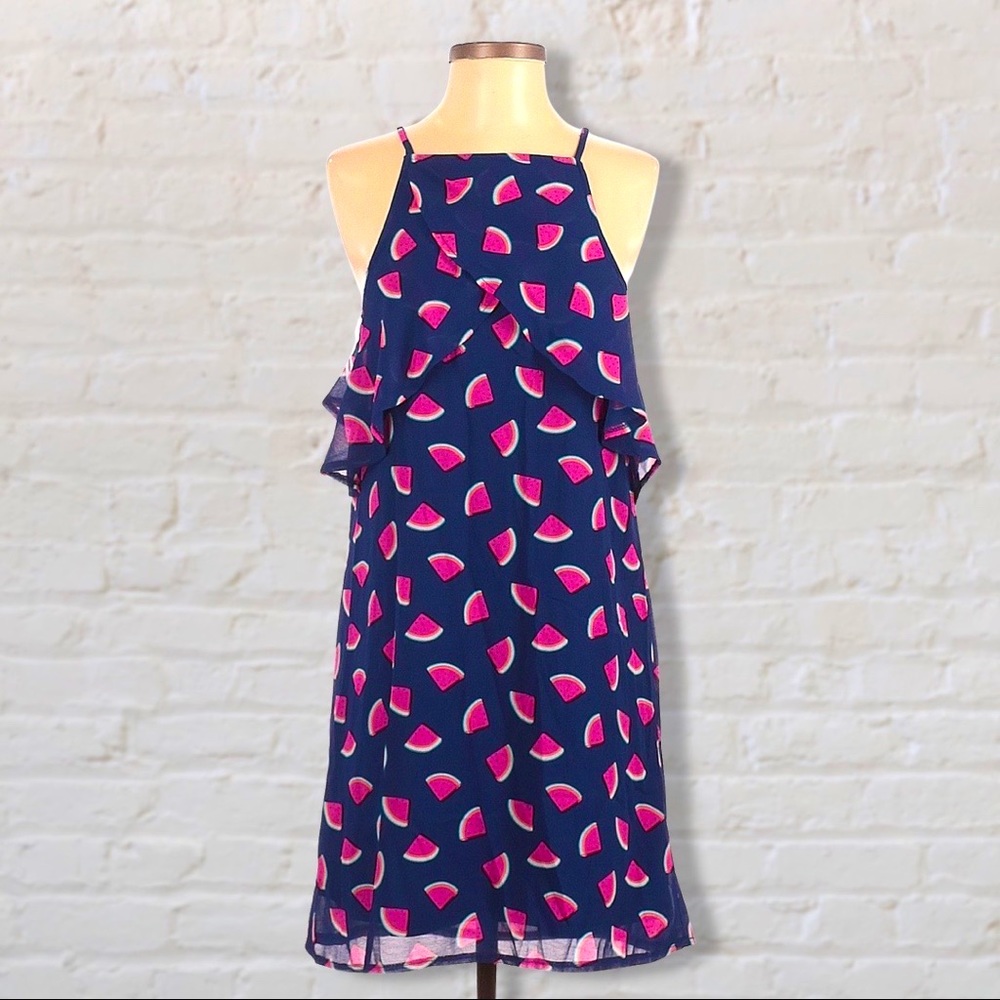 🆕 Francesca’s Blue Rain Watermelon Dress